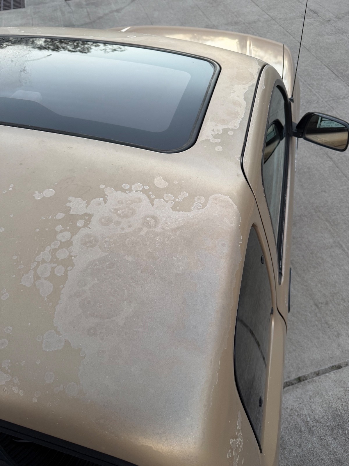 Toyota-Tacoma-1995-Extended-Cab-Pickup-17