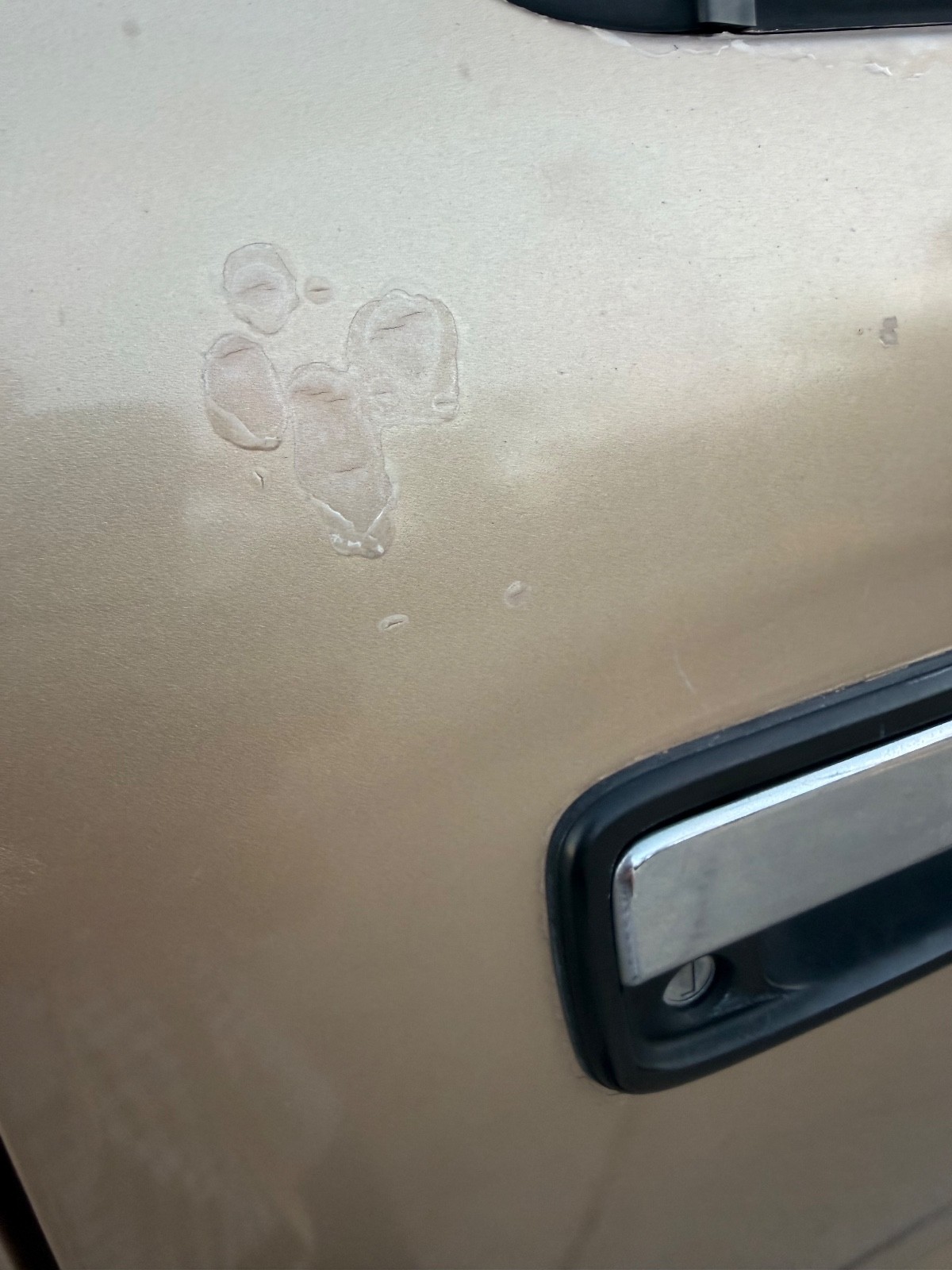 Toyota-Tacoma-1995-Extended-Cab-Pickup-20