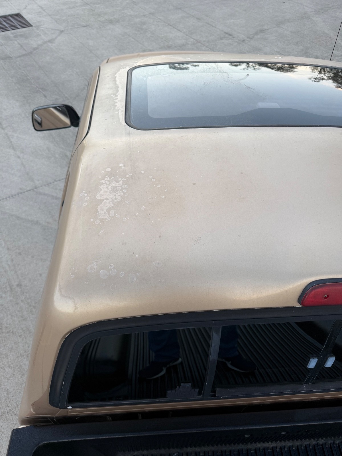 Toyota-Tacoma-1995-Extended-Cab-Pickup-21