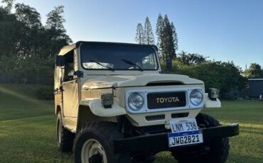 Toyota-bandeirante-diesel-1985-2