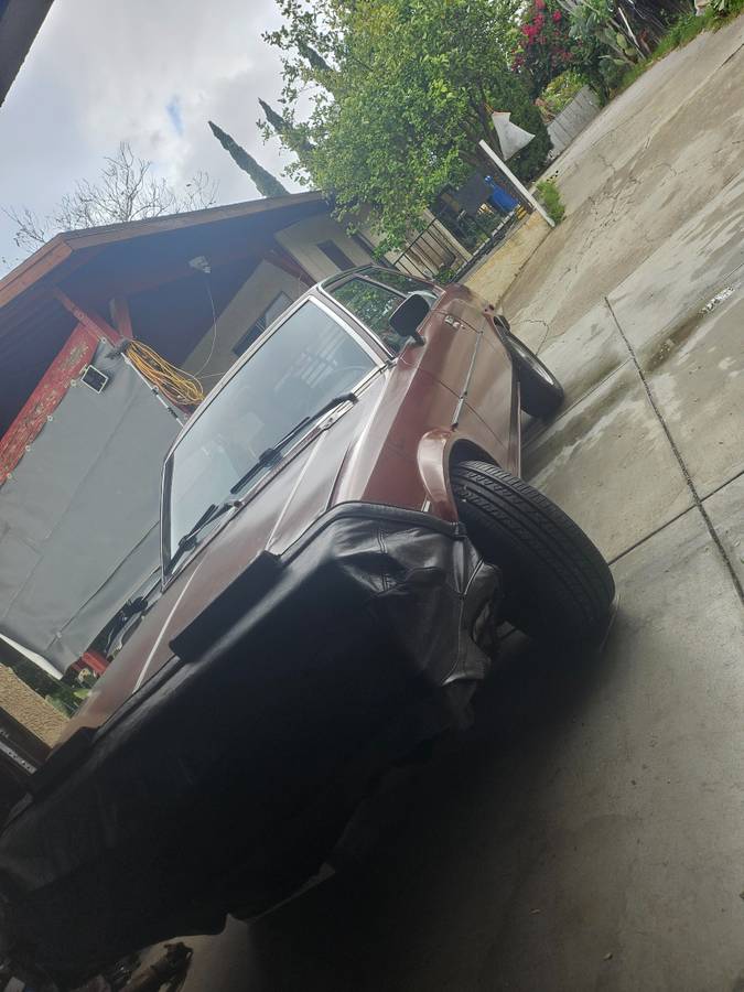 Toyota-corolla-1981-brown-7