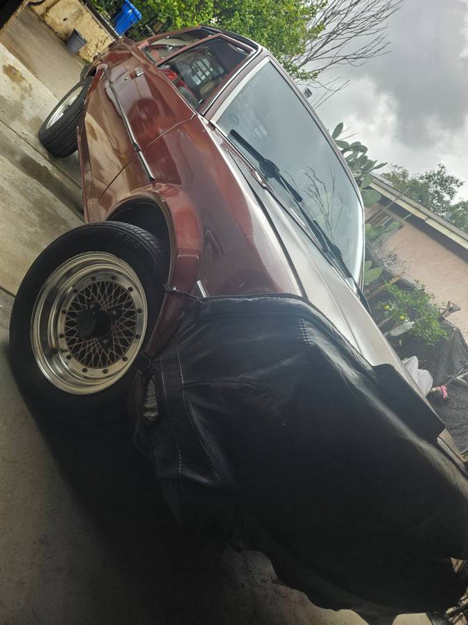 Toyota-corolla-1981-brown-8