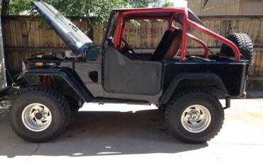 Toyota-land-cruiser-fj40-1967-black-4