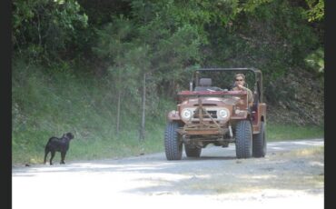 Toyota-land-cruiser-fj40-3-tree-1967-red-9