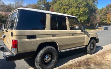 Toyota-land-cruiser-prado-diesel-1992-brown-12