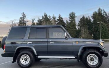Toyota-landcruiser-prado-sx-diesel-1994-grey-12