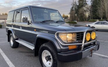 Toyota-landcruiser-prado-sx-diesel-1994-grey-14