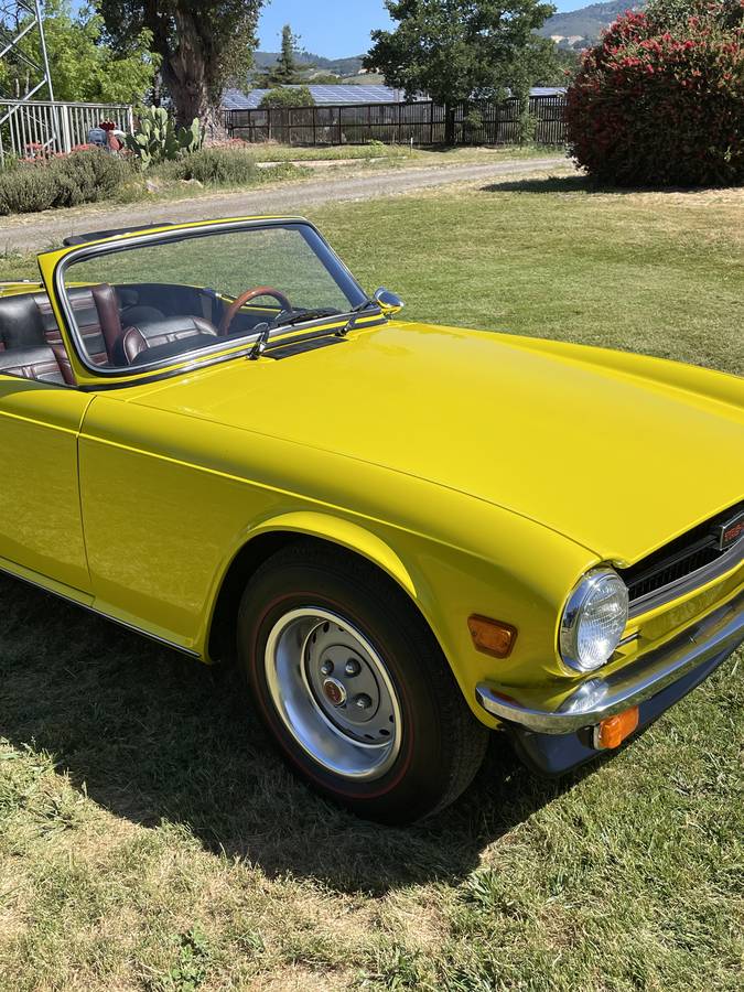 Triump-tr6-1976-custom-1