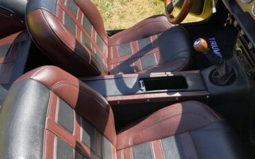 Triump-tr6-1976-custom-15