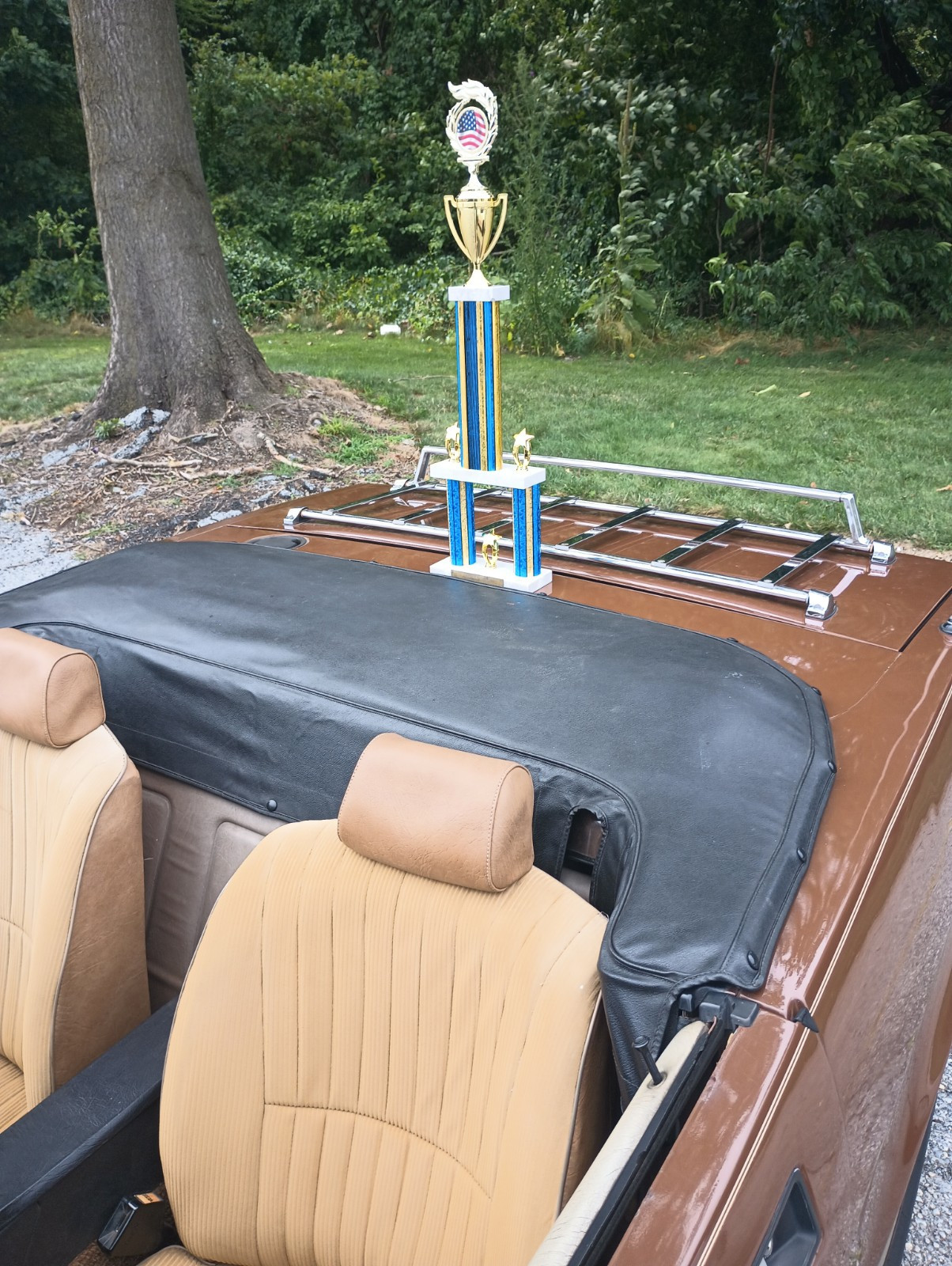 Triumph-TR7-1980-Convertible-1