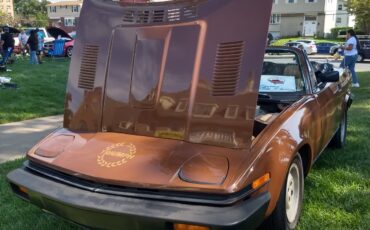 Triumph-TR7-1980-Convertible-15