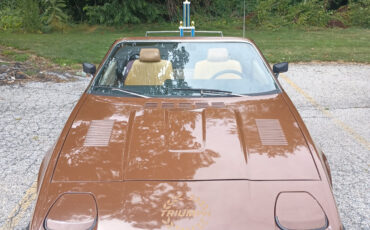 Triumph-TR7-1980-Convertible