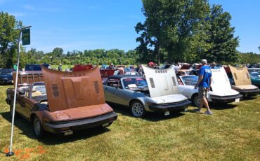 Triumph-TR7-1980-Convertible-6