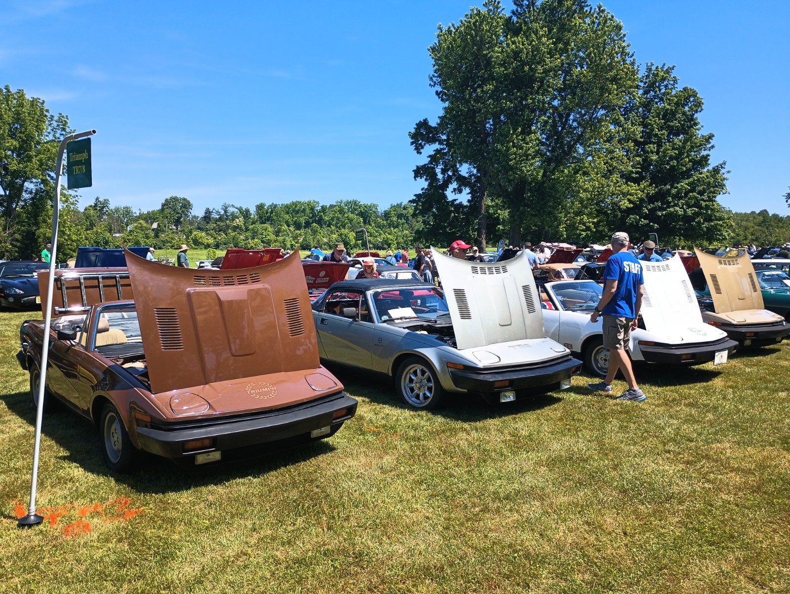 Triumph-TR7-1980-Convertible-6