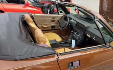 Triumph-TR7-1980-Convertible-9