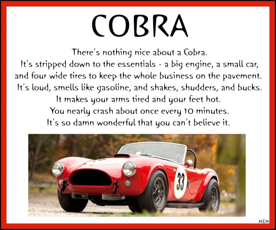 Unique-motorcars-fia-289-cobra-1964-silver-11