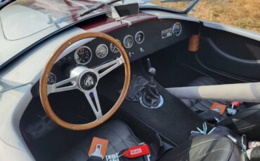 Unique-motorcars-fia-289-cobra-1964-silver-22