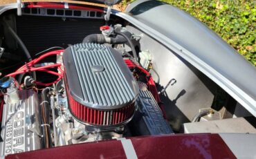 Unique-motorcars-fia-289-cobra-1964-silver-23