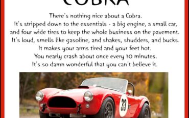Unique-motorcars-fia-289-cobra-1964-silver-30