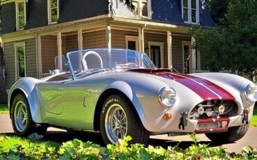 Unique-motorcars-fia-289-cobra-1964-silver-31