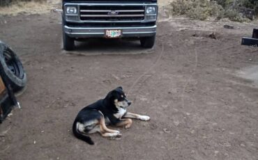 Van-chev-g20-no-window-1978-black-5