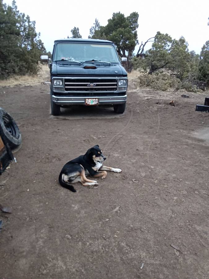 Van-chev-g20-no-window-1978-black-5