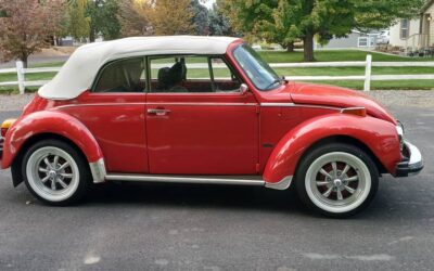 Vokswagen super beetle 1979