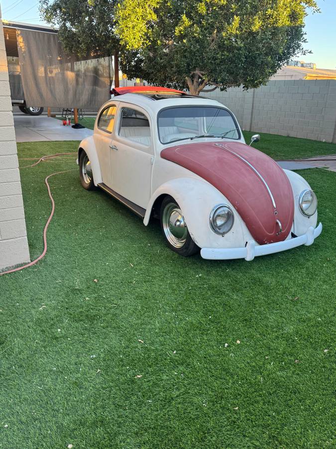 Volkswagen-1961-white-1