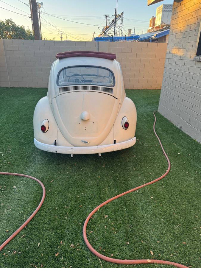 Volkswagen-1961-white-2