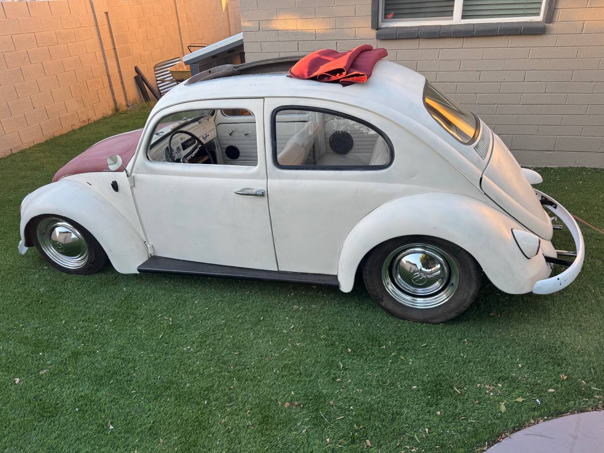 Volkswagen-1961-white-3