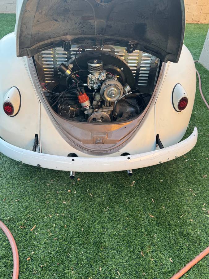 Volkswagen-1961-white-5