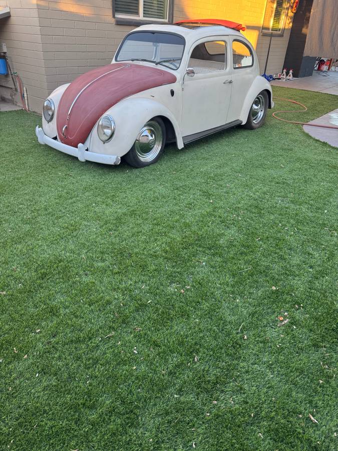 Volkswagen-1961-white