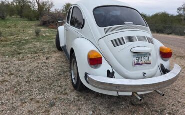 Volkswagen-1974-white-2