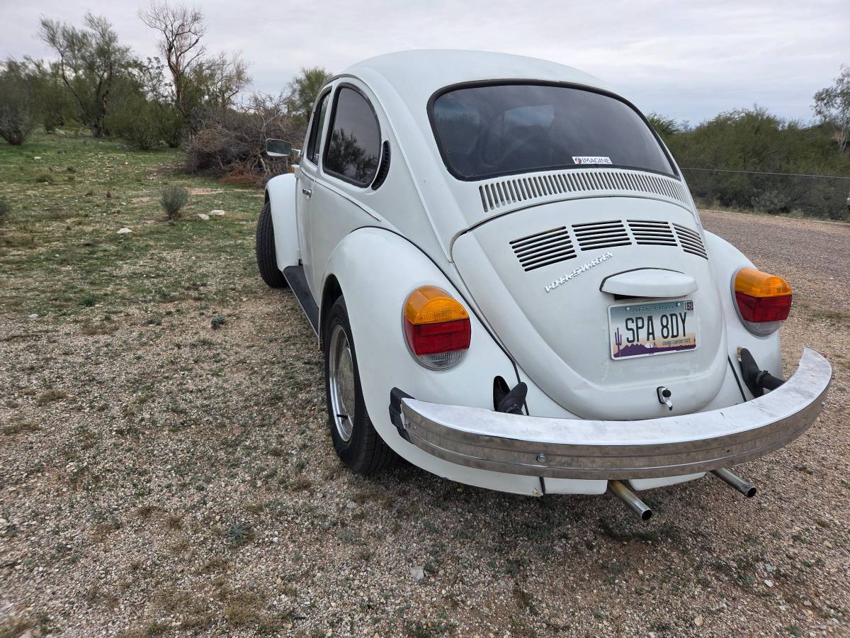 Volkswagen-1974-white-2