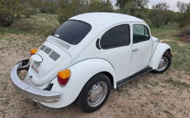 Volkswagen-1974-white-3