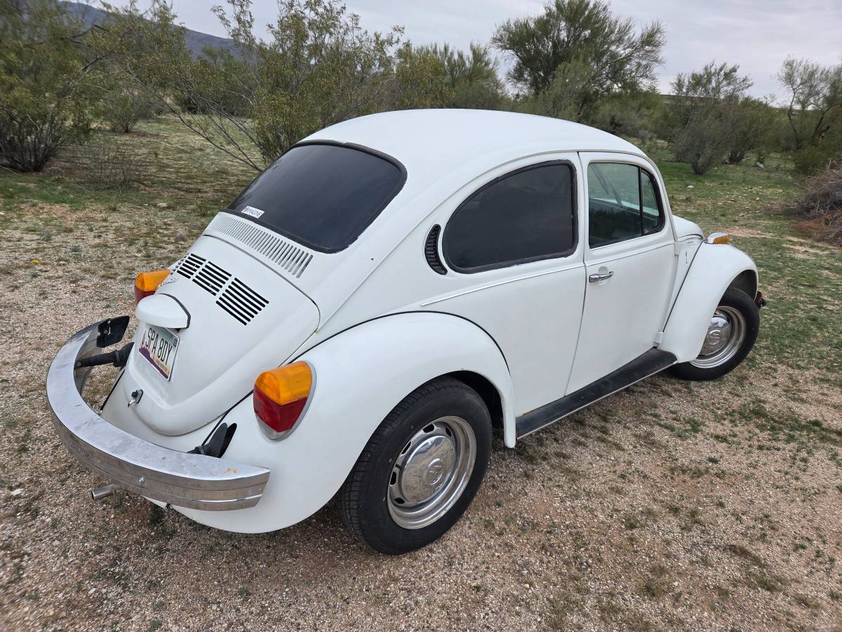 Volkswagen-1974-white-3
