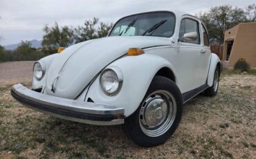 Volkswagen-1974-white