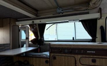 Volkswagen-1981-yellow-5