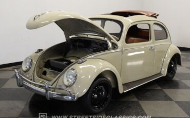 Volkswagen-Beetle-1962-Taupe-Saddle-leather-5