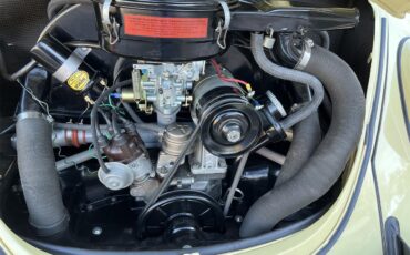 Volkswagen-Super-beetle-1971-Yellow-Black-2