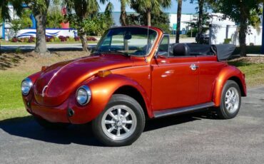 Volkswagen-Super-beetle-1978-Burnt-Orange-Metalli-Black-22