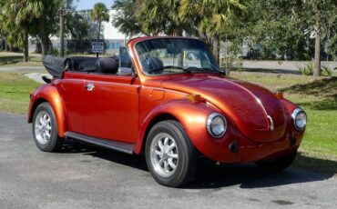 Volkswagen-Super-beetle-1978-Burnt-Orange-Metalli-Black-3