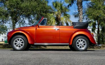 Volkswagen-Super-beetle-1978-Burnt-Orange-Metalli-Black-46