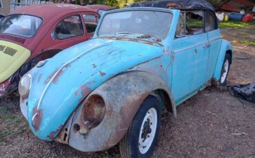 Volkswagen-beetle-1964-1