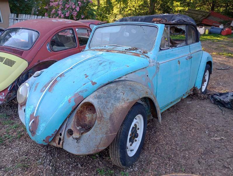 Volkswagen-beetle-1964-1