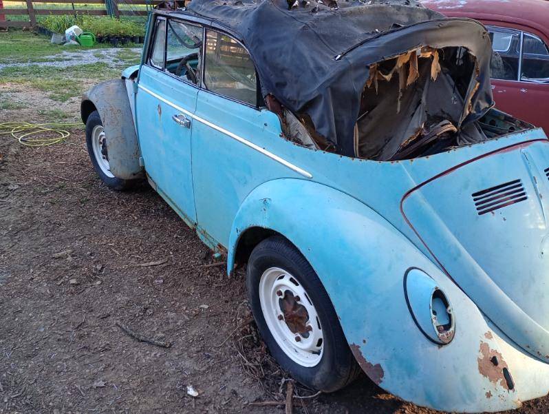 Volkswagen-beetle-1964-2