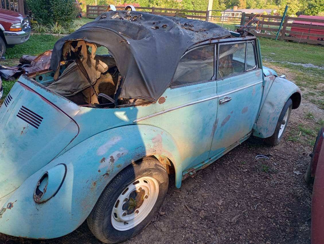 Volkswagen-beetle-1964-5