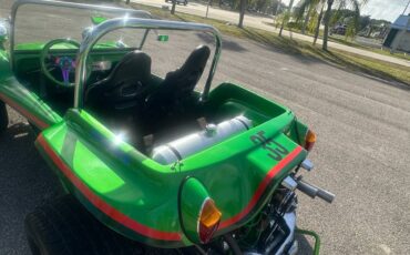 Volkswagen-beetle-1965-green-14