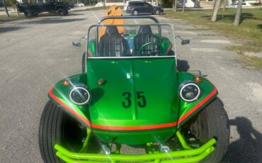 Volkswagen-beetle-1965-green-2