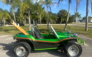 Volkswagen-beetle-1965-green-4